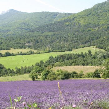 Camping dans la région PACA 2 étoiles